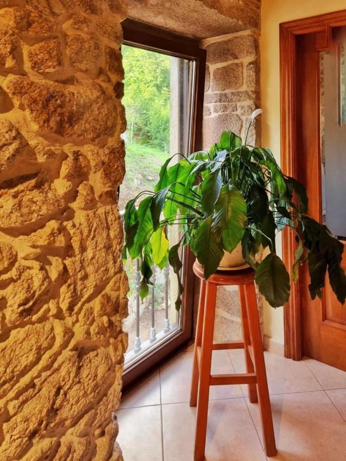 Alojamiento Casa Carlota Villadesuso Zewnętrze zdjęcie